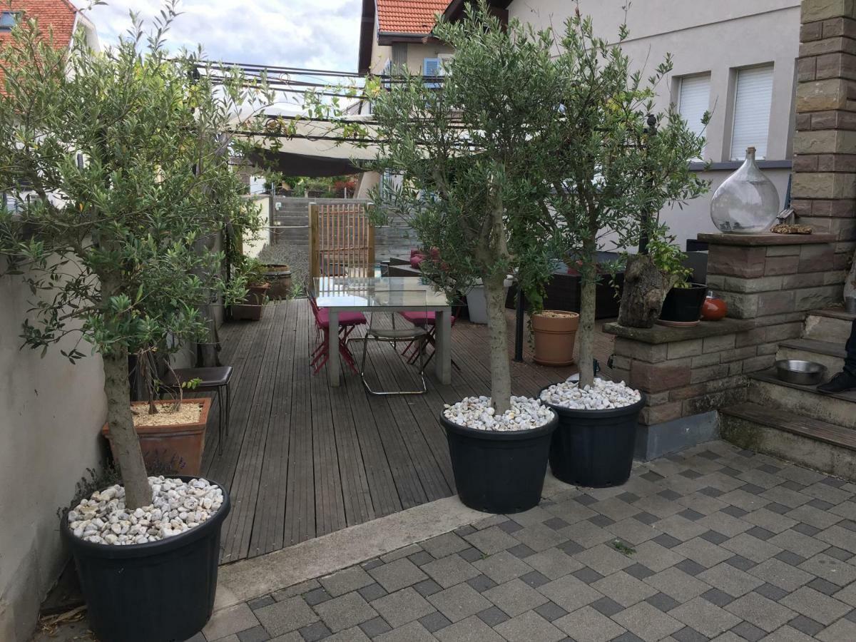La Terrasse Selestadienne Селеста Экстерьер фото